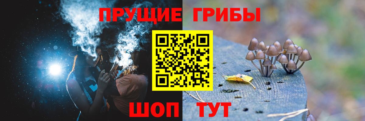 Псилоцибиновые грибы прущие грибы  Галлюциногенные грибы Cubensis  Новочебоксарск  Вход с VPN 